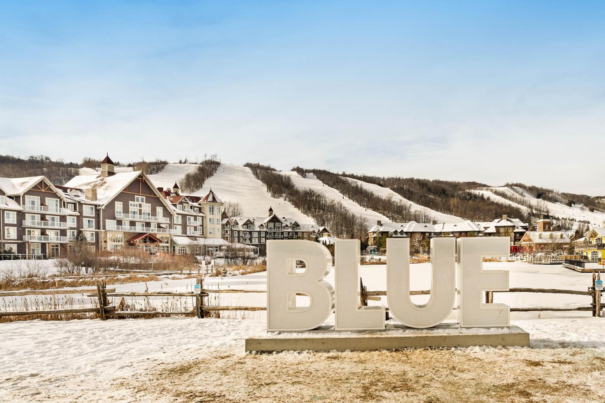 Wintergreen 218 Blue Mountains Εξωτερικό φωτογραφία